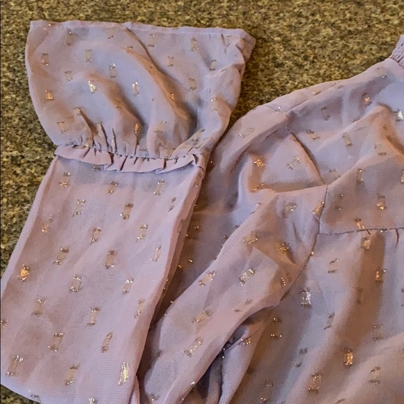 Amethyst and Metallic Gold Sheer Blouse - Picture 6 of 9